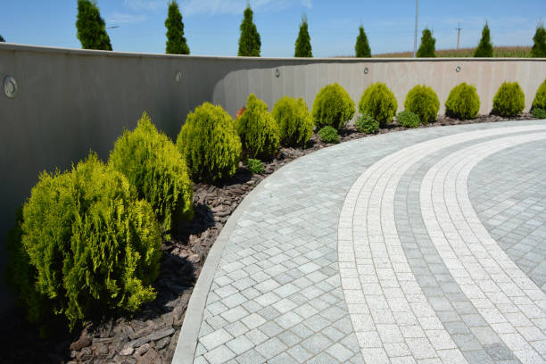 Best Best Driveway Pavers  in Carthage, NY